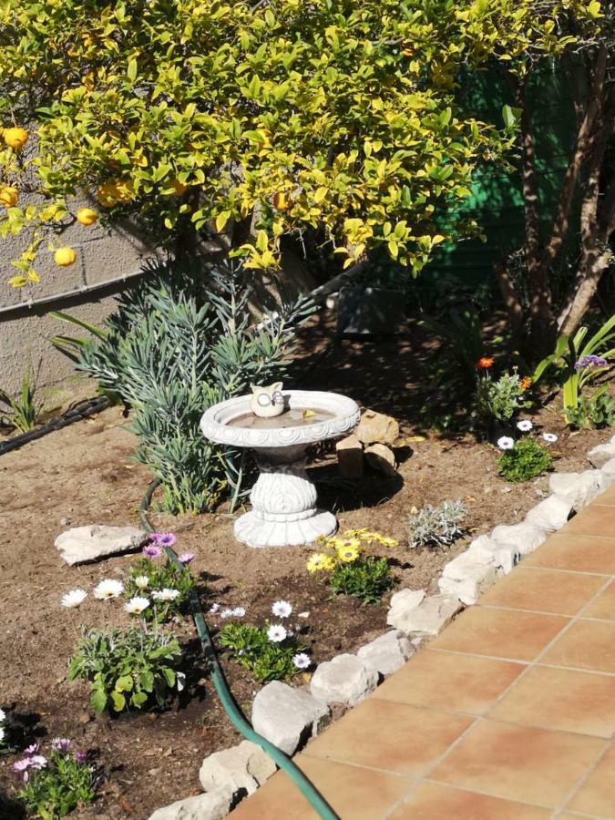 On Cloud 9 Apartment Hermanus Luaran gambar